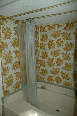 [The old tub]