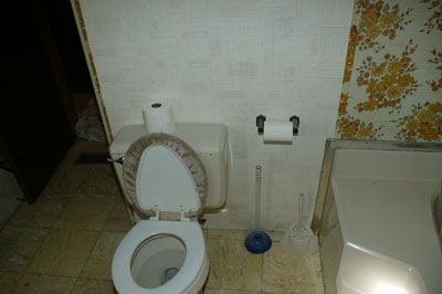 [The old toilet]