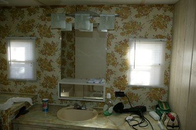 [Countertop, sink, and cabinet]