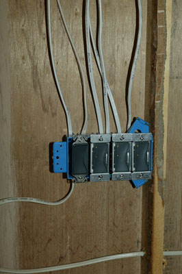 [New switches]