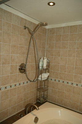 [Faucet and shower]