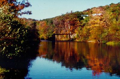 [Railroad bridge]